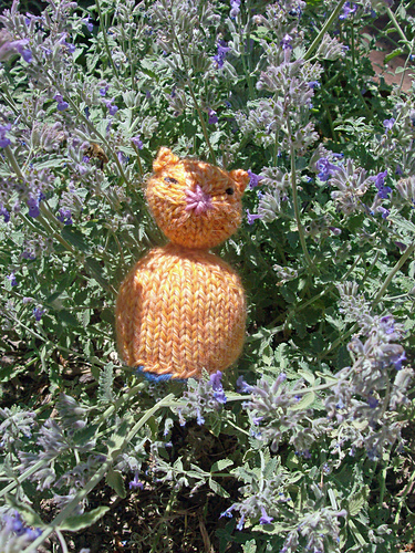 Reversible Cat and Bird