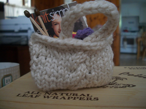 Knitter's Inspiration Bag