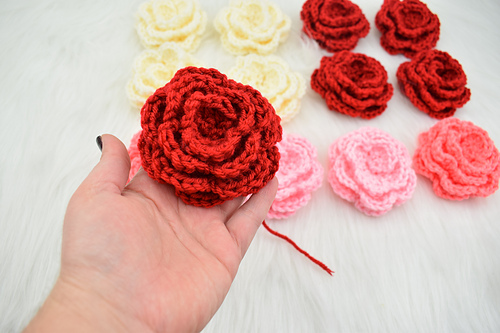 Camellia flower