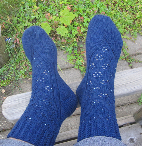 Blueberry Socks