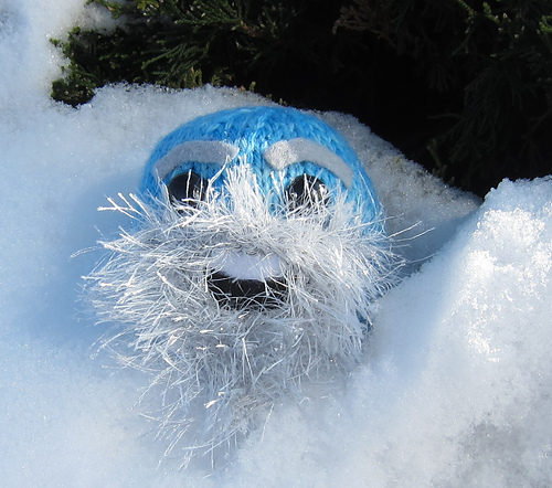 Mr. Abominable the Snow Puff