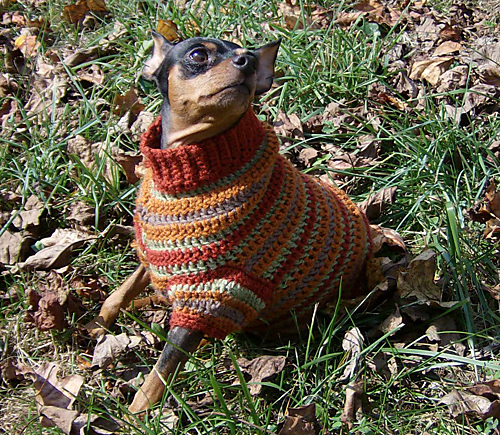 Autumn Stripes Crochet Min Pin Sweater