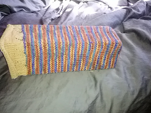 Spindle/Travel Bag