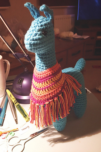 Poncho for Lorenzo the Llama