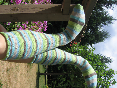 Vibbles Kneesocks