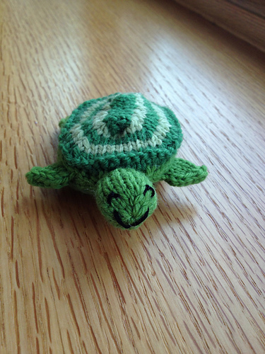 Egg to Turtle