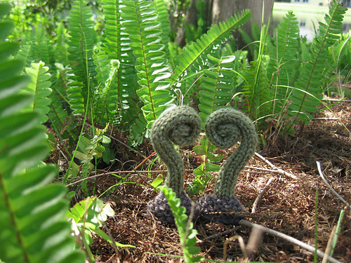 Fern Heart