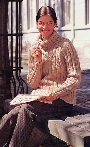 58-18 Sweater with raglan sleeves and cowl neck