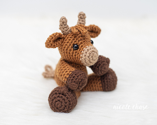 Hazel the Highland Cow
