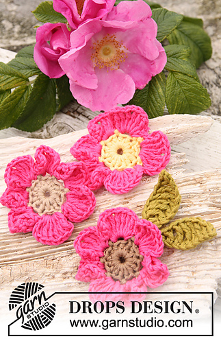 147-50 Rosa Rugosa
