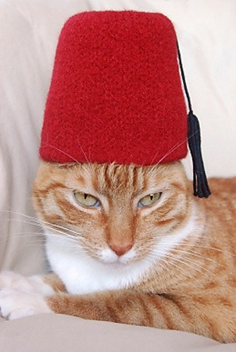 International Cat Hat: Turkey