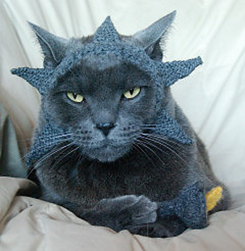 International Cat Hat: USA