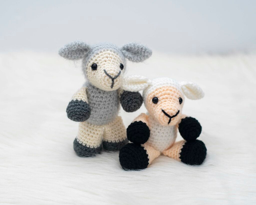 Sherman the Sheep