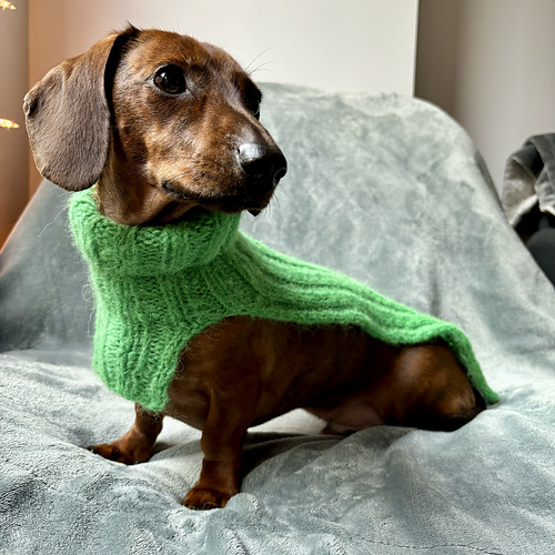 Make It Green Dog Cowl
