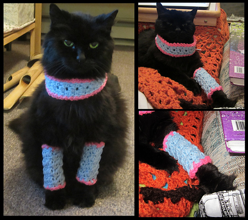 Marie Antoinette Cat Leg Warmers and Cowl