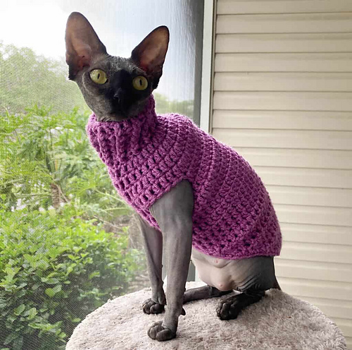 Small Cat Sweater