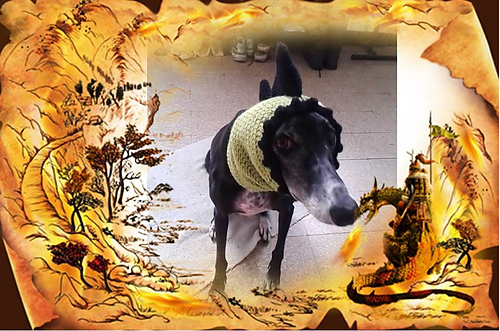 Greyhound/Dog Dragon Hat