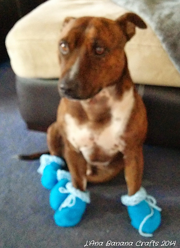 Crochet Dog Booties