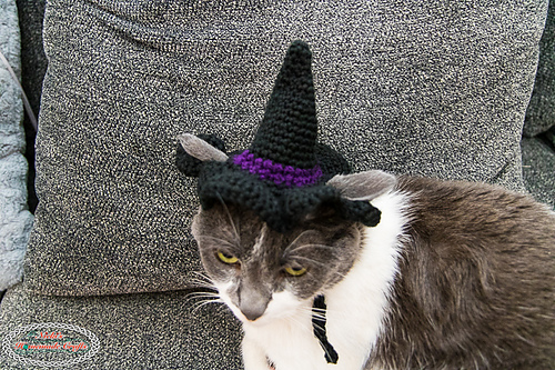 Cat's Witch Hat