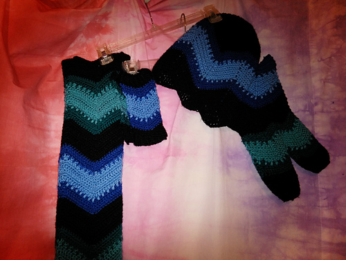 Stellar Jay Set