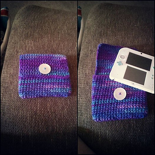 Nintendo 2DS pouch