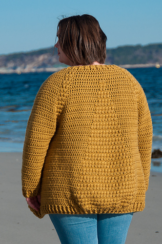 Flavus Cardigan on Ravelry