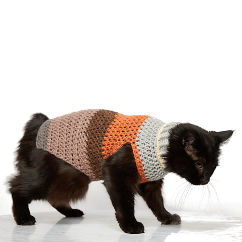 Small Pet Stripy Sweater