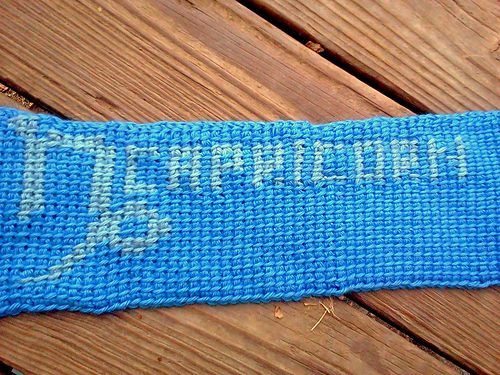 Capricorn Graph Earwarmer