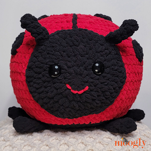 Ladybug Squish