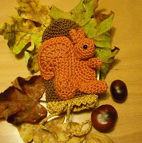 Cozy Squirrel