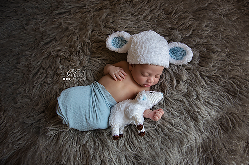 Newborn Lamb Hat with Plush Toy