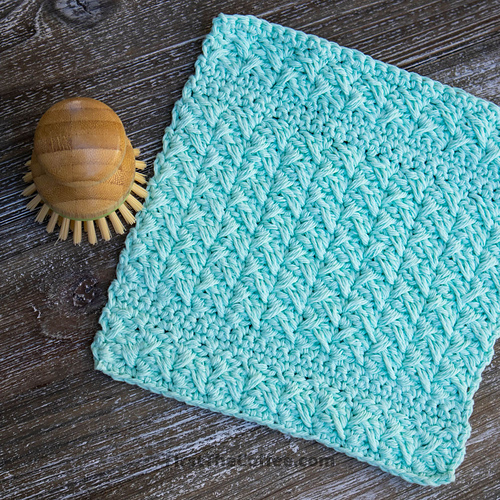 Spiked Cotton Dishcloth