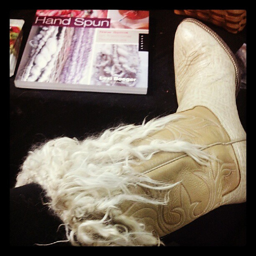 JazzTurtle Tailspun Bootoppers