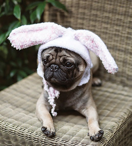 Rabbit-Ear Bonnet