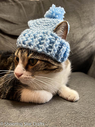 Large Hat for Cats