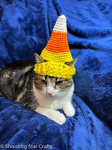 Candy Corn Hat for Cats