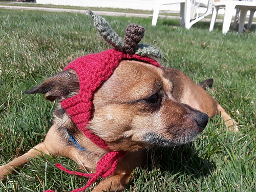 Apple Head Hat