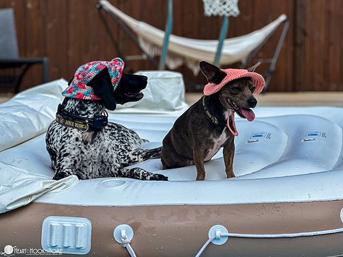 Dog Bucket Hat