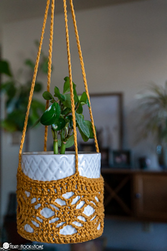 Plant Hanger