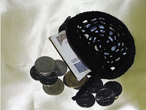 Spider Mesh Coin Purse