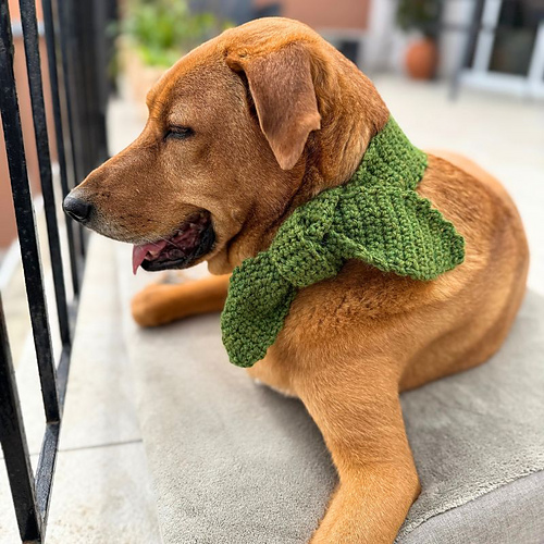 Lucky Charm Dog Scarf