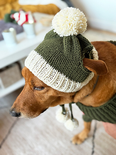 Bobble Dog Hat With Ear Holes