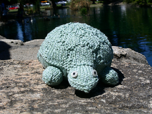Trudie the Turtle